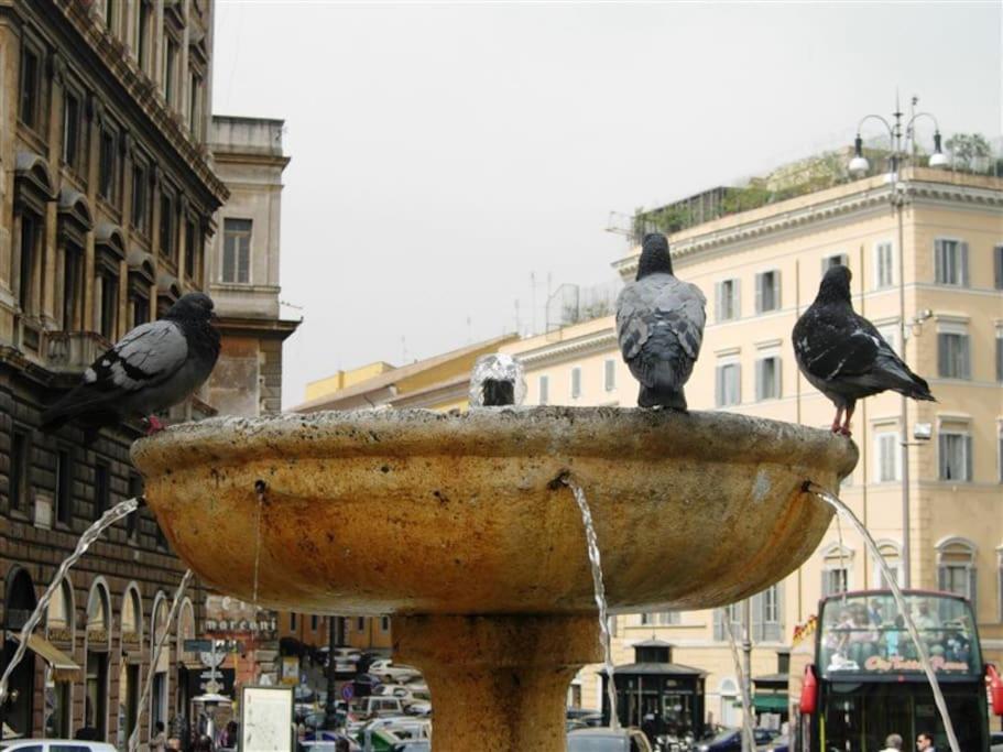 Domus Patrizia Romana 6 Persone Zewnętrze zdjęcie